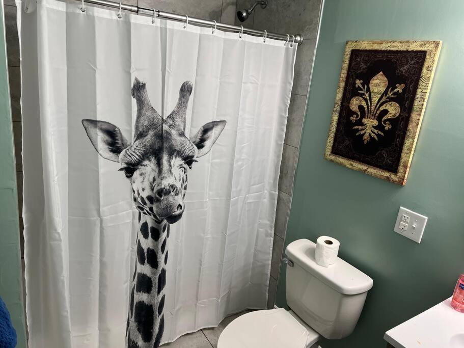 2 Blocks From French Quarters Διαμέρισμα Νέα Ορλεάνη Εξωτερικό φωτογραφία